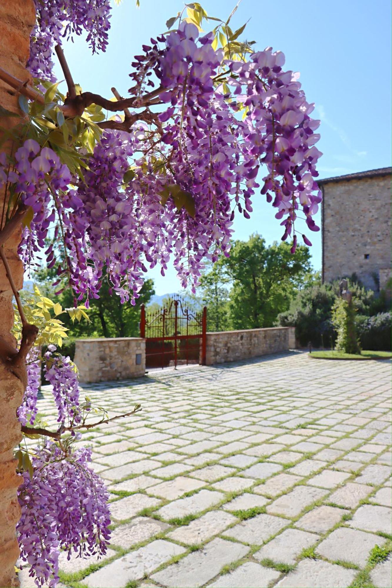 Alloggio per agriturismo Castello Di Viano